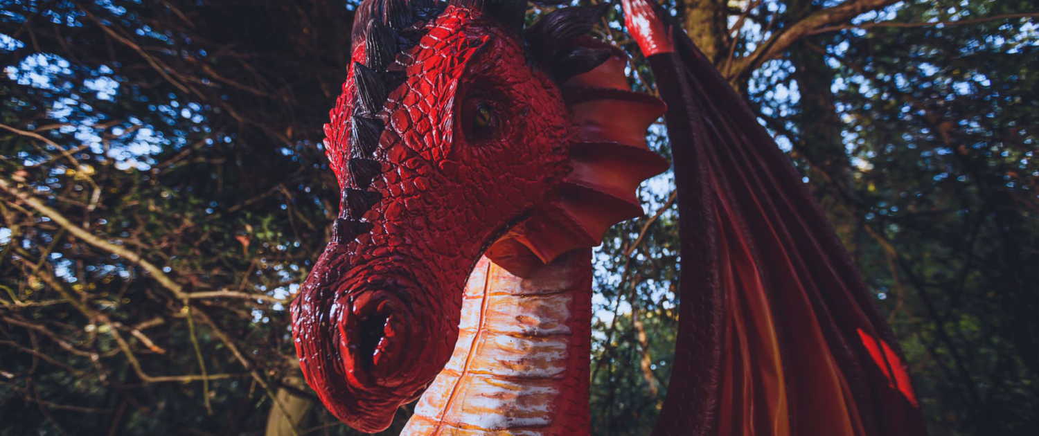 Medevil themed events and prop hire