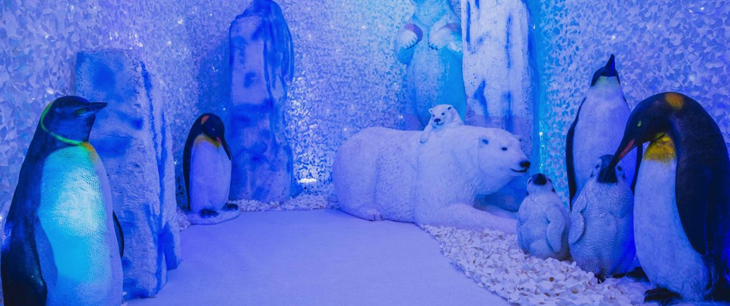 WINTER WONDERLAND