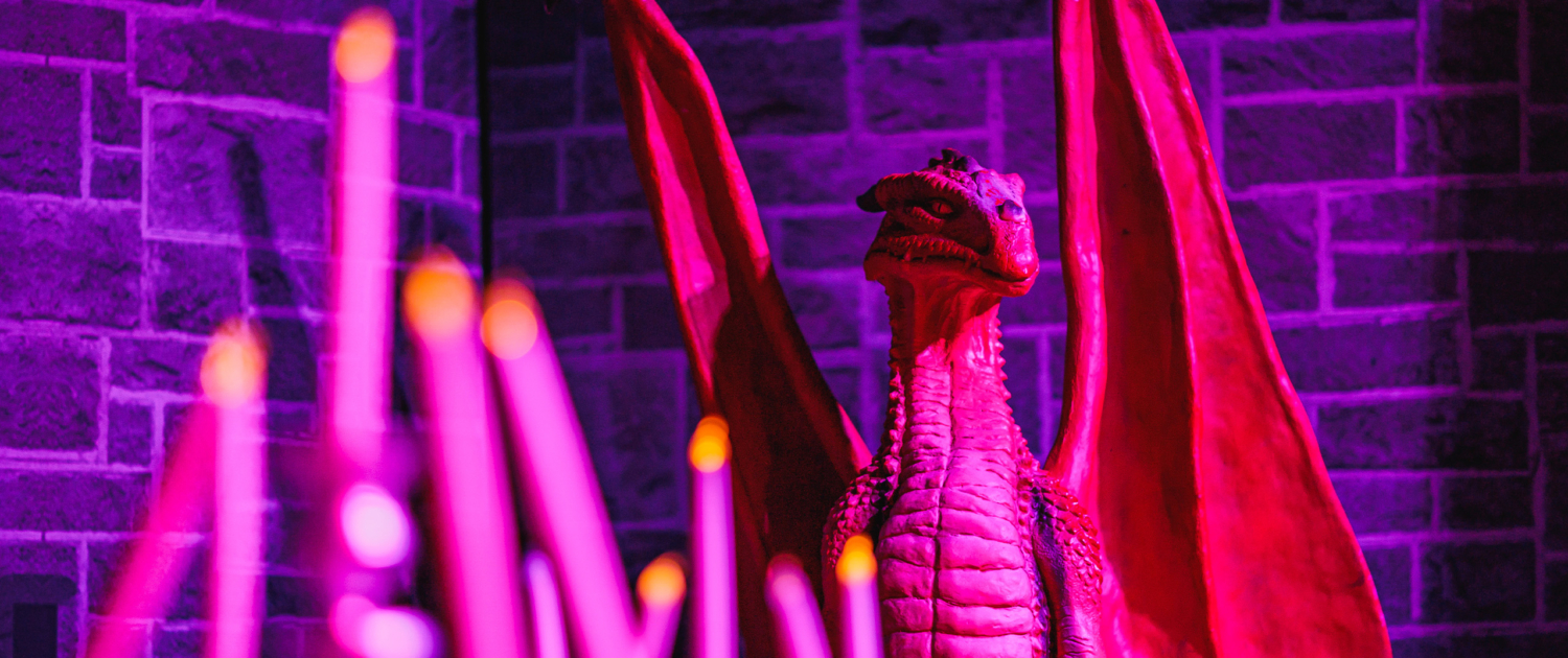 Wizard themed events and prop hire 3