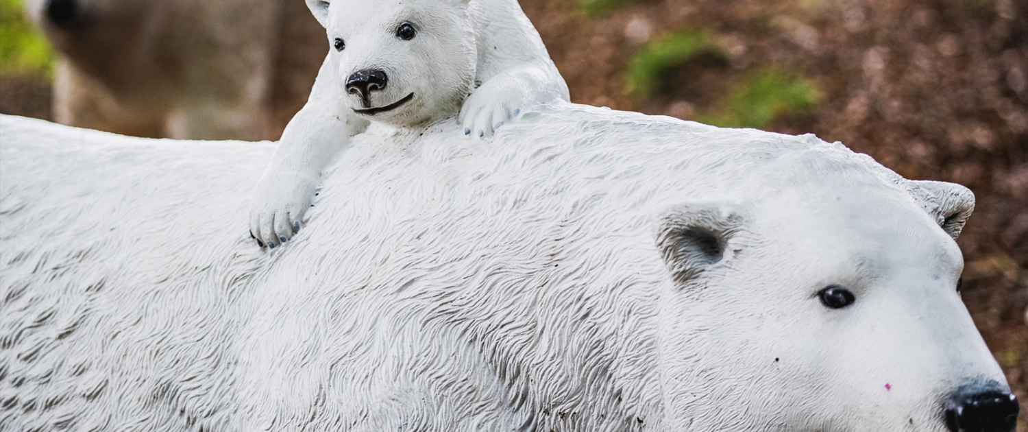 ZOO
