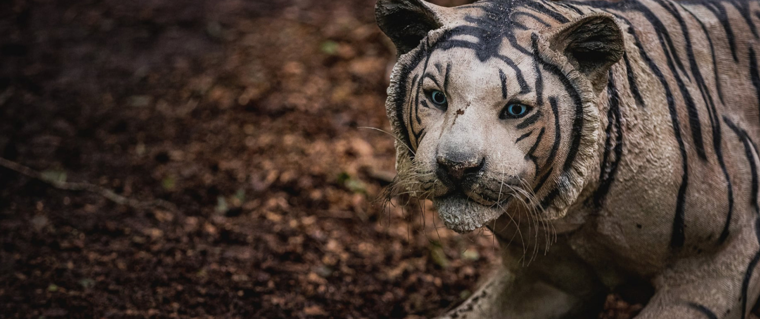ZOO2