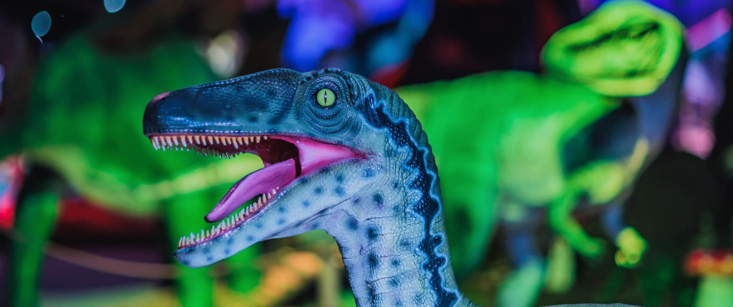 dinosaur5