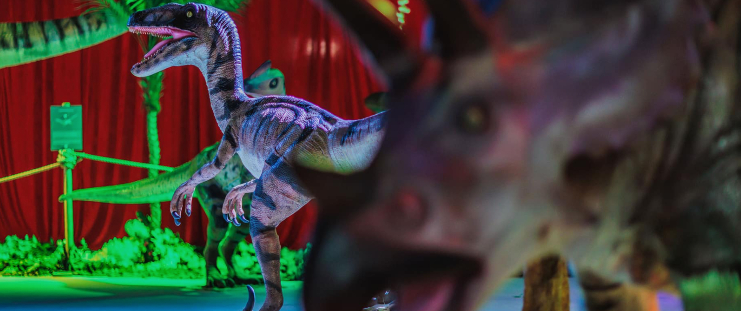 dragonn