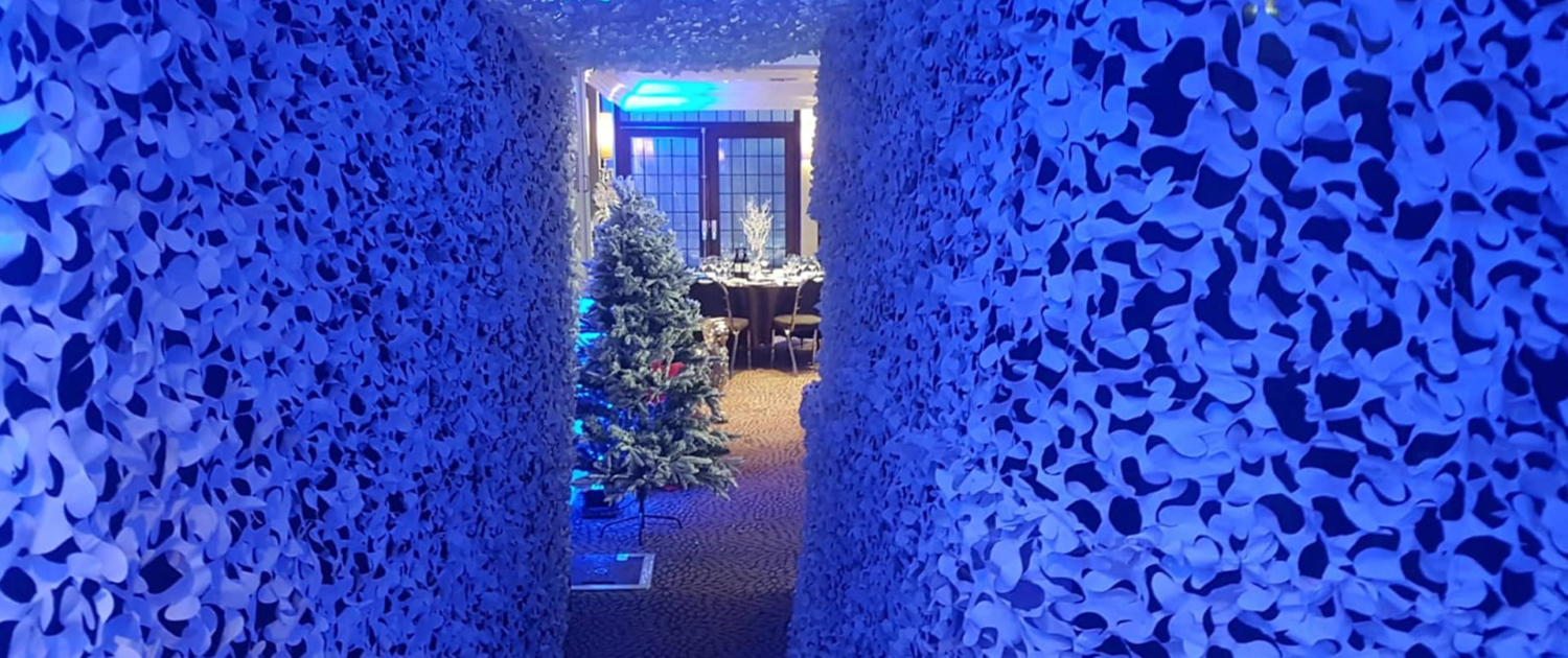 DRAPED ENTRANCE1