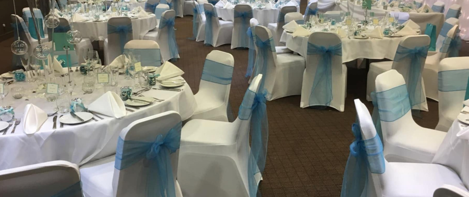 Organza Sashes 1