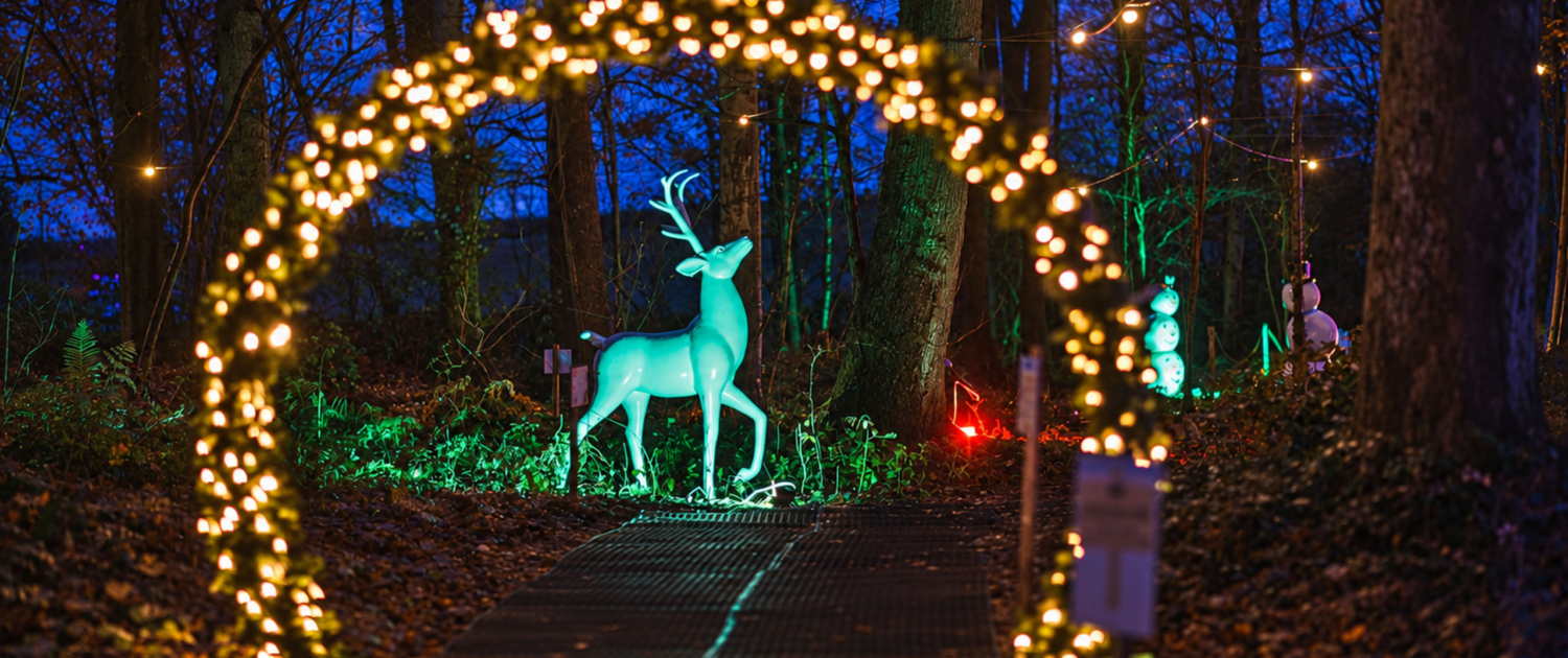 xmas trails