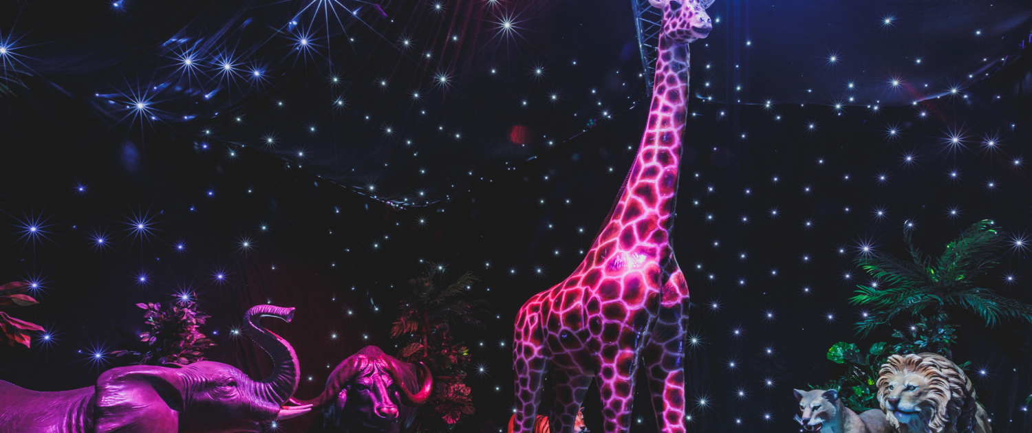 Africa themed parties events and prop hire 2