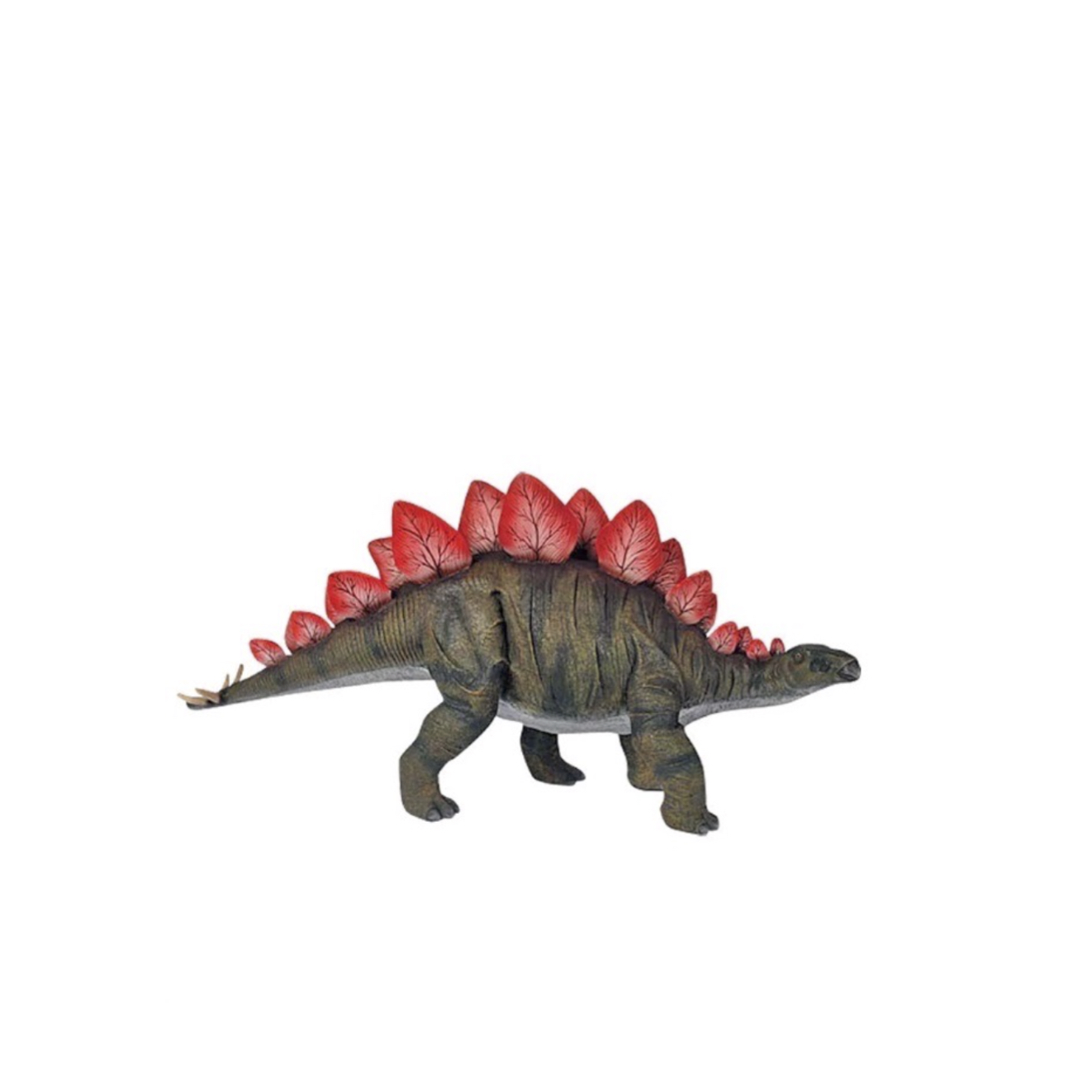 Baby-Stegosaurus.jpeg