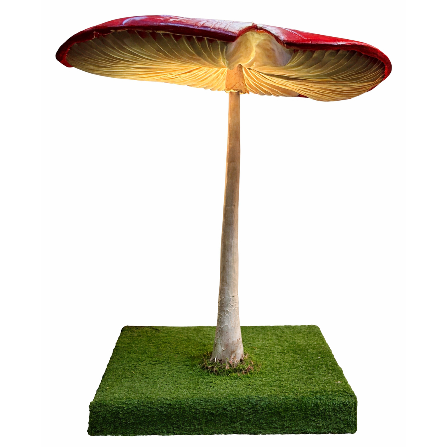 Giant Toadstool – iCatching, everything for events